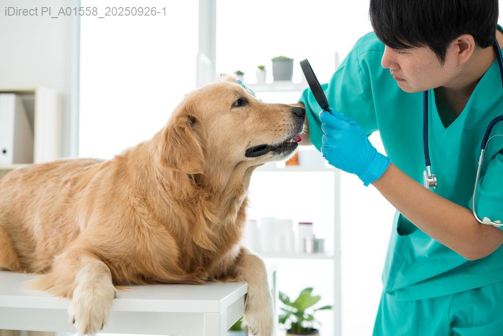 5款醫療保養神器價格比，哪個最值得買？